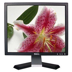 17 Dell E177FPc LCD Monitor (Black) Computers