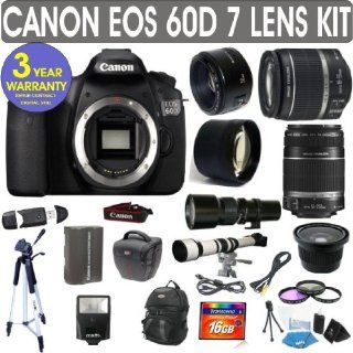 Canon EOS 60D + Canon 18 55mm Lens + Canon 55 250mm Lens