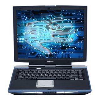 Toshiba Satellite A25 207 Laptop (2.66 GHz Pentium 4, 512