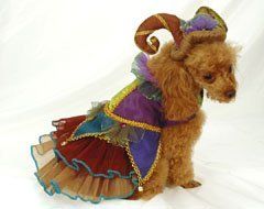 Beautiful Madri Gras Dog Costume   Katherines Collection