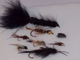 Guides Choice 144 Trout Fly Fishing Lure Set Today $71.99