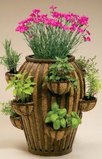 Deer Park PL223 Strawberry Pot with Cocoa Moss Liner and