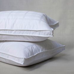 Extra Firm Goose Feather Standard size Pillows (Set of 2)