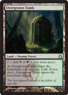 the Gathering   Overgrown Tomb (243)   Return to Ravnica Toys & Games