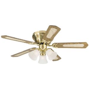 Westinghouse Fan & Lighting 78509 42"Contemp SB Ceil Fan